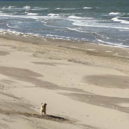 Natur Pur, O4 Neues Ferienhaus Natureingebunden, Familien- Und Hundefreundlich Eingezaeunt Callantsoog Ngoại thất bức ảnh